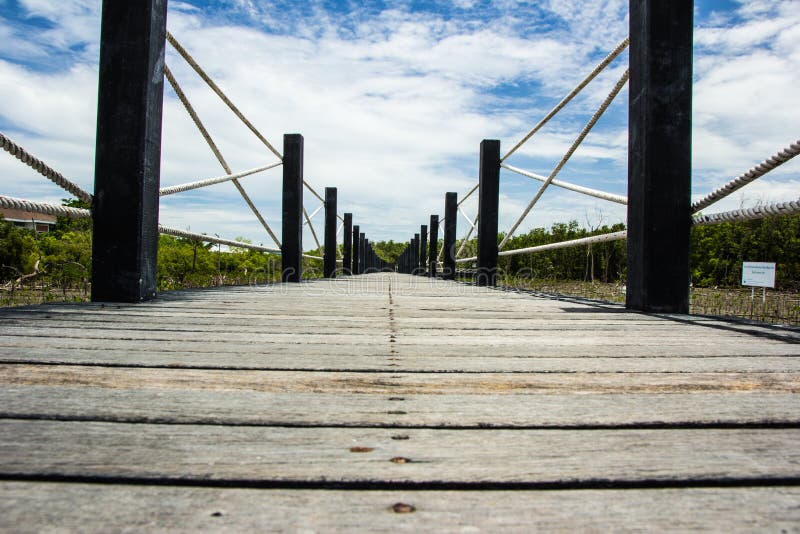 Wood bridge