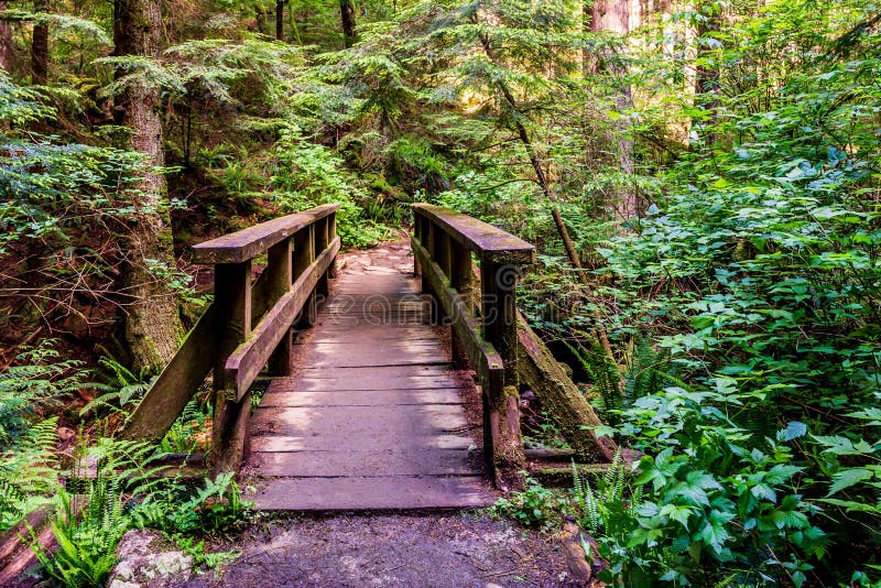 Wood Bridge in Forest Park in British Columbia Canada. Stock Photo