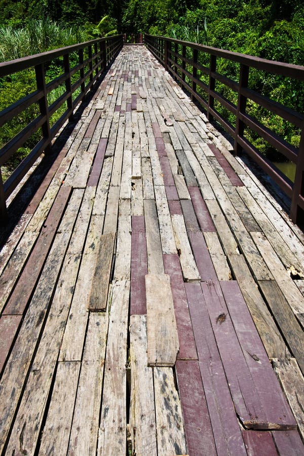 Wood bridge to jungle