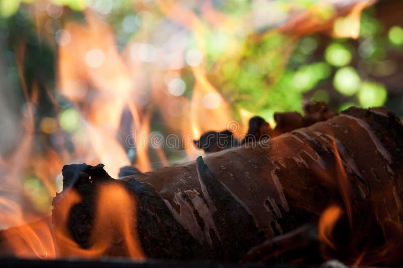 Wood burn in the fire