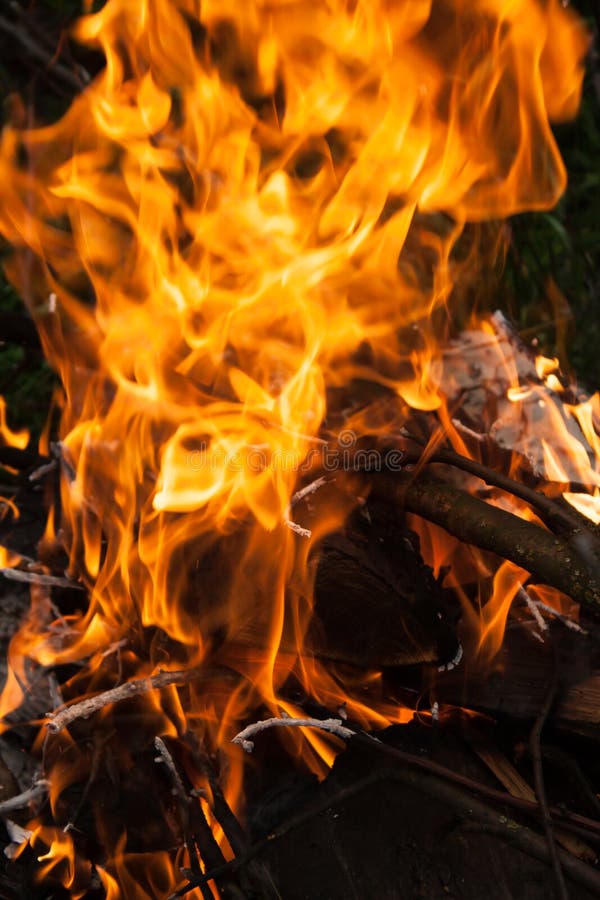 Wood burning on fire. stock photo. Image of bonfire, energy 81869064