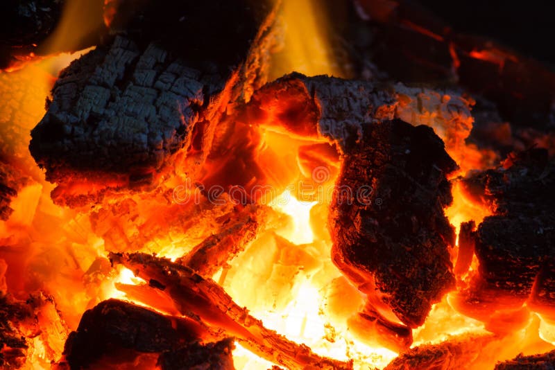 Wood Charcoal on Fire stock photo. Image of fire, wood 77772440