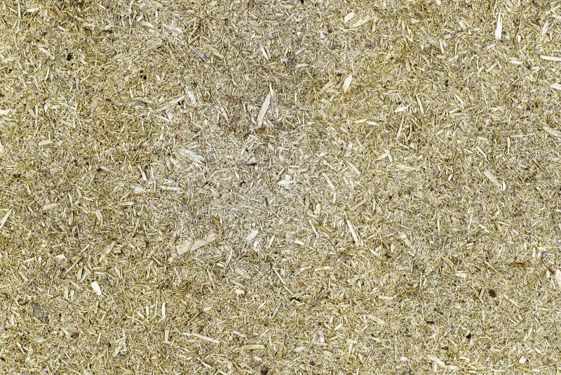 Wood Chip Board Texture for Backdrop Background Stock Photo Image of