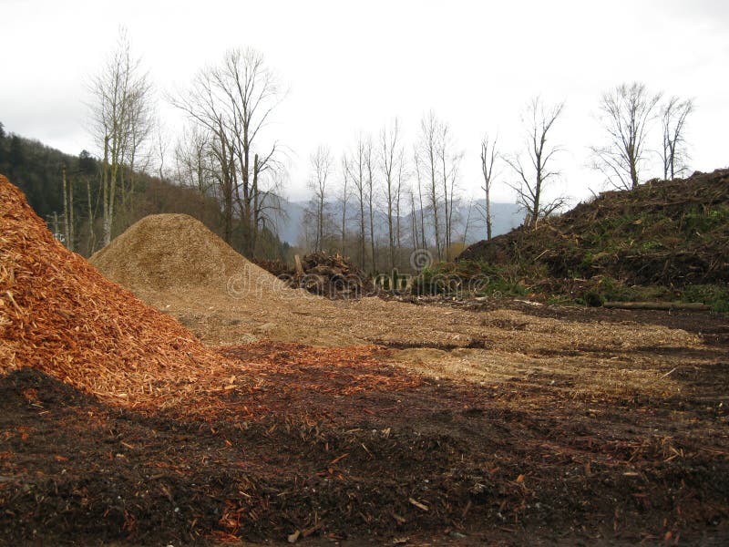 Wood Chip Pile in the Recycling Yard Stock Photo Image of nature