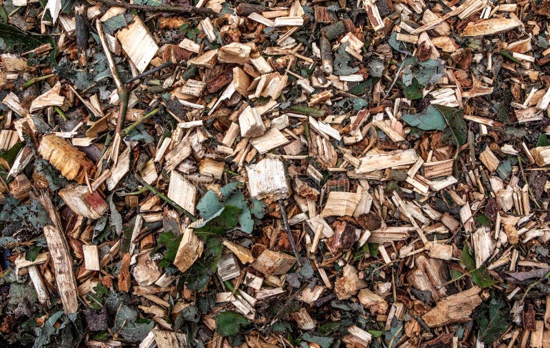 Wood chips royalty free stock photos Wood chips royalty free stock photos