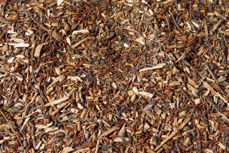 Wood Chips from Finely Chopped Tree Branches after Pruning in Spring