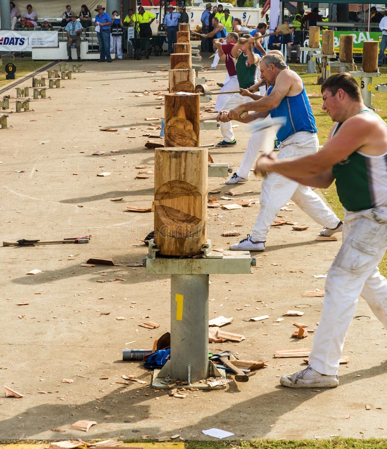 Wood Chopping Competition Starting Editorial Image - Image 