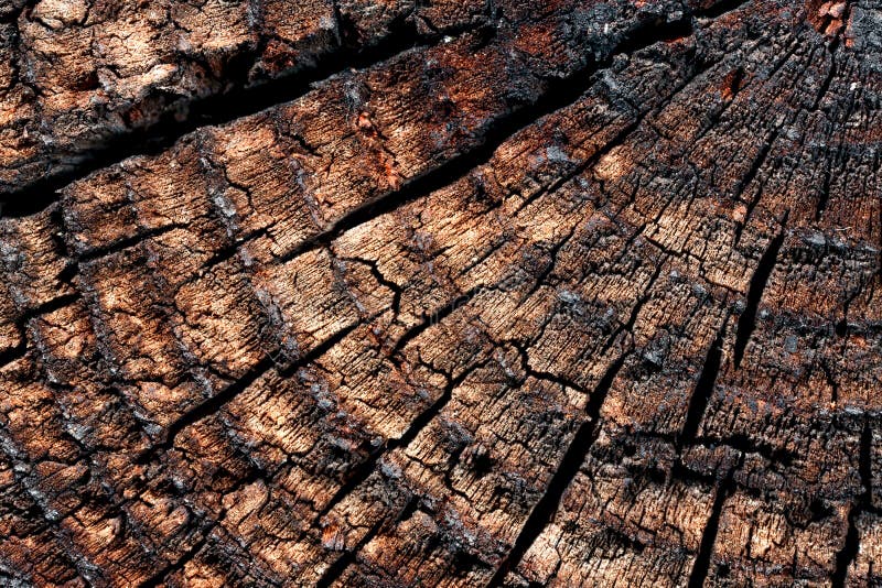 Wood with cracks stock image. Image of material, shape 146110575