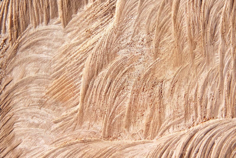 Wood Cross Section Wall Texture with Wave Patterns Nature for Brown