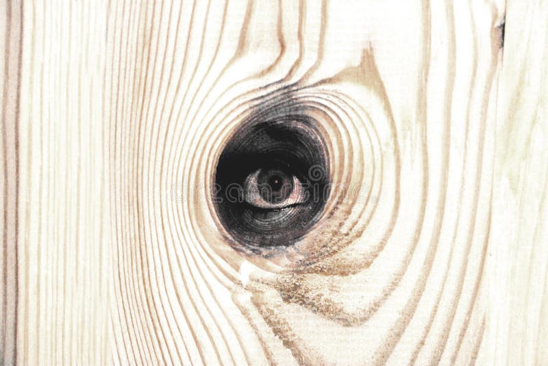 Wood eye stock illustration. Illustration of photomontage 490003