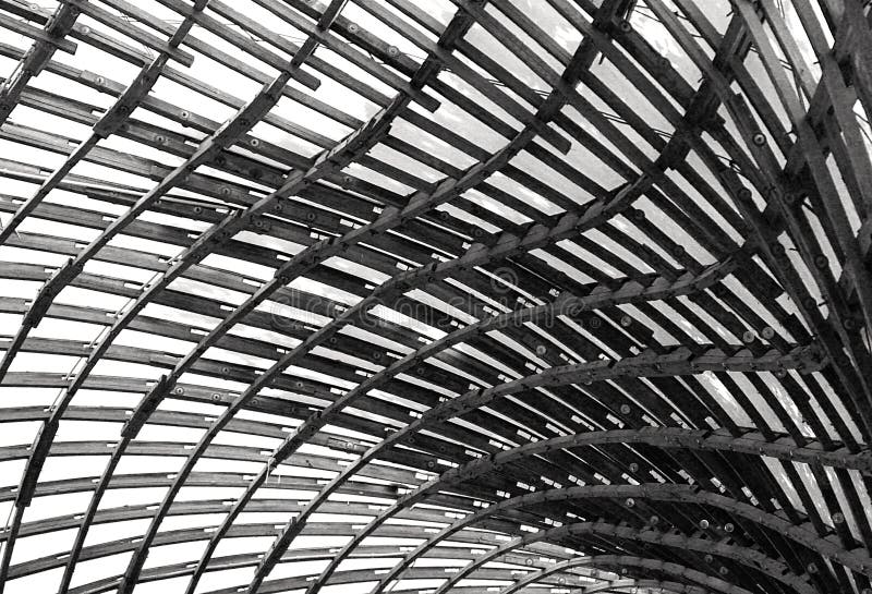 Wood and Fabric Roof Structure of a public Hall