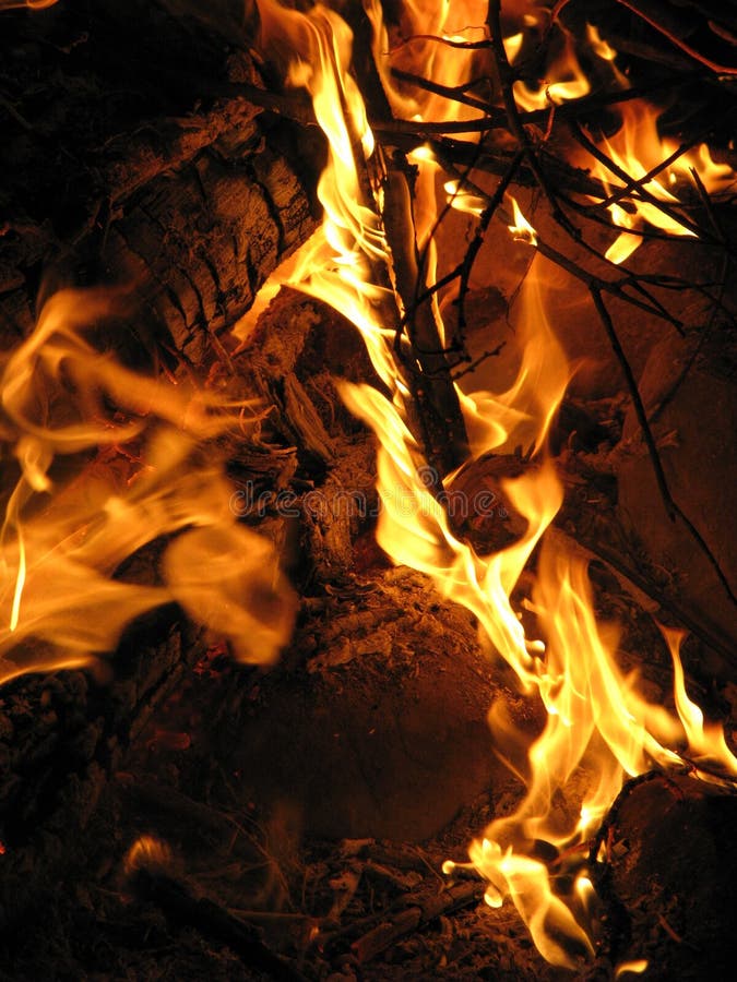 Wood Fire Picture. Image 4769159