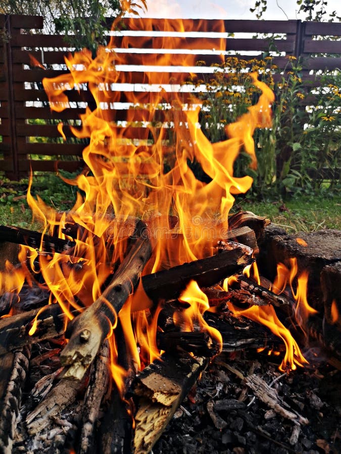 Barbeque Charcoal And Wood Fire Grill Stock Photo Image of charbroil