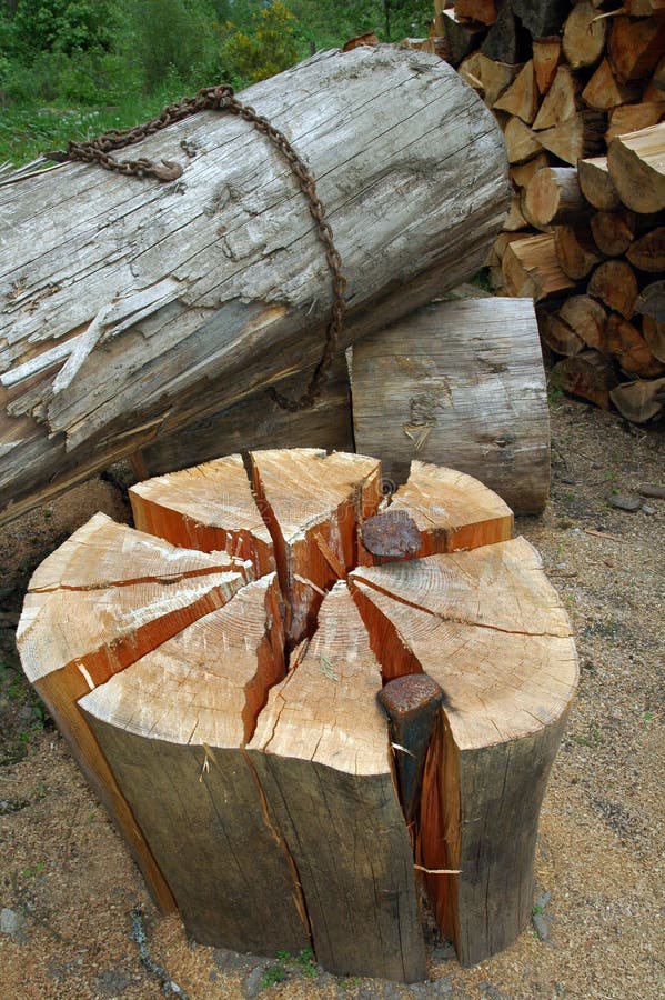 Wood - firewood