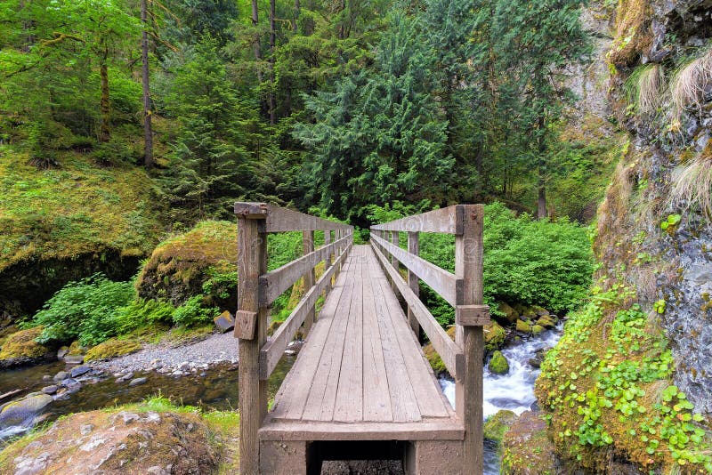 Wood Foot Bridge Over Creek