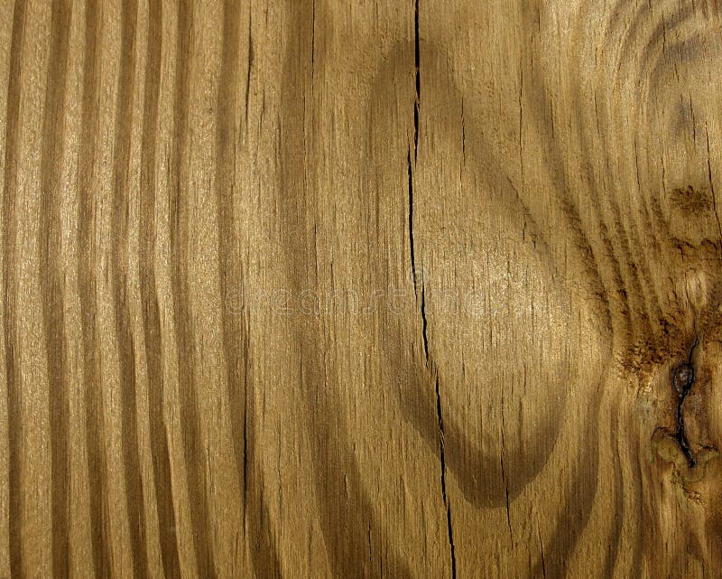 Wood fibre grain stock photo. Image of background, detail 5058022