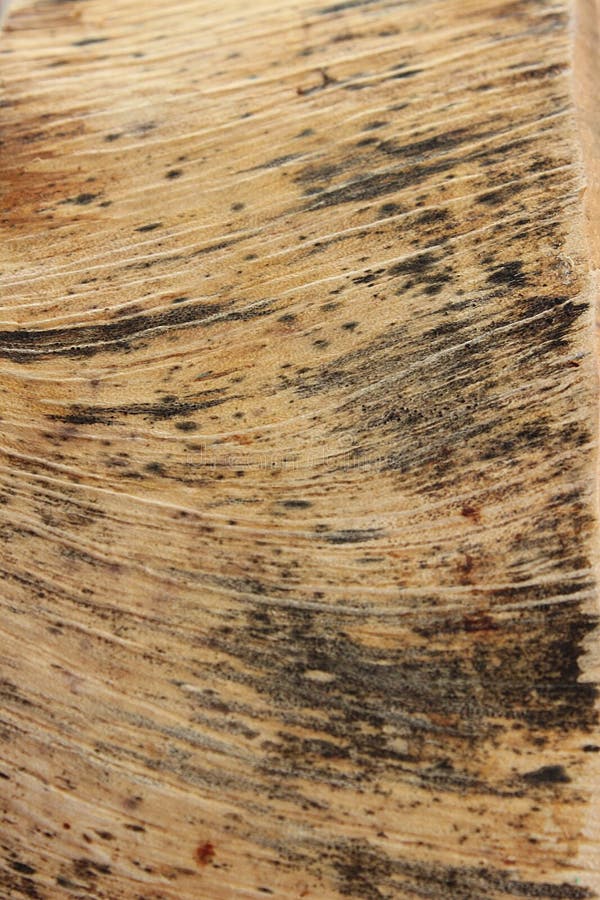 Wood Grain Background Wood Pattern Stock Photo - Image of wood, table