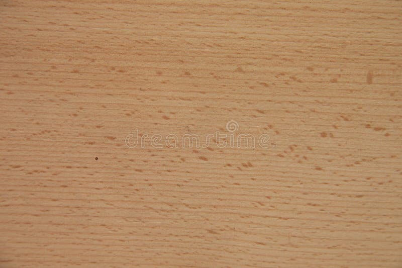 Wood grain for furniture stock image. Image of plaster 269852221
