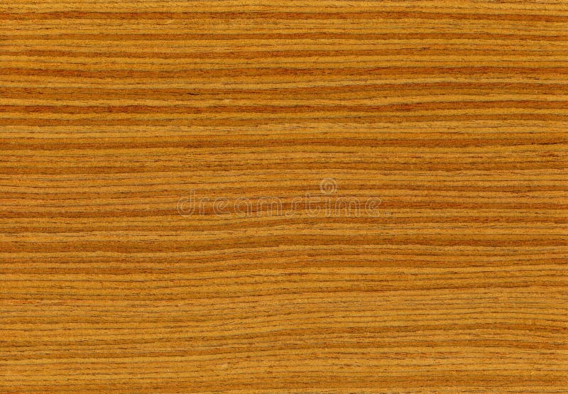 Raw Teak Wood Planks Not Yet Stock Photo 1498605401 | Shutterstock
