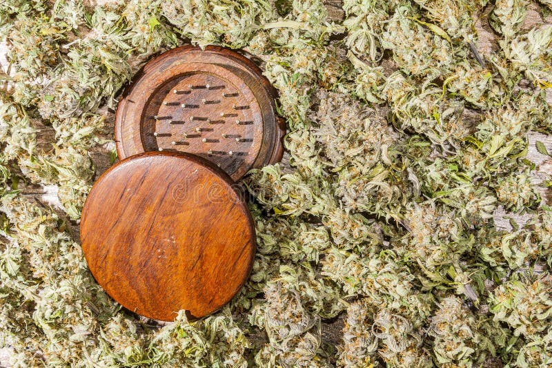 Wood Grinder With Cannabis Buds Stock Image Image of detail, grinder