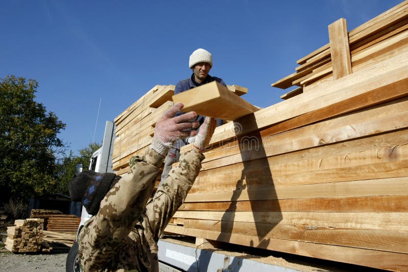 Wood industry workers editorial stock image. Image of piles 25000599