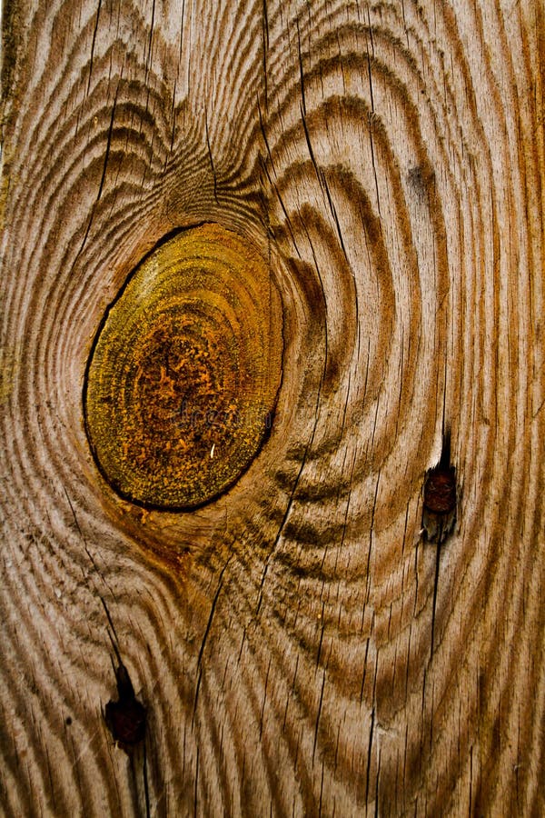Wood Knot Texture stock photo. Image of yellow, rings 37909532