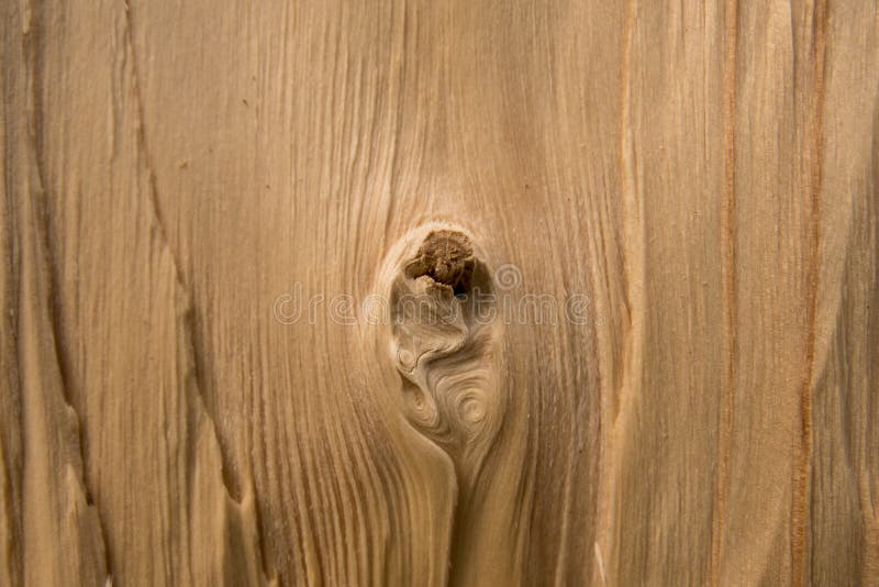 Wood knots stock image. Image of ring, tree, wooden, wood 89534079