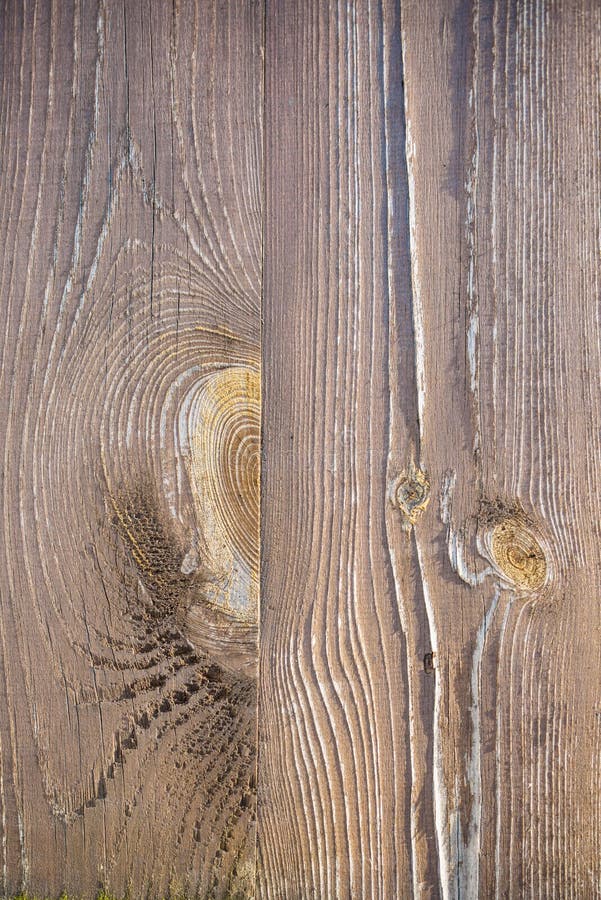 Wood with knots stock photo. Image of dostok, brown, backdrop 61783428