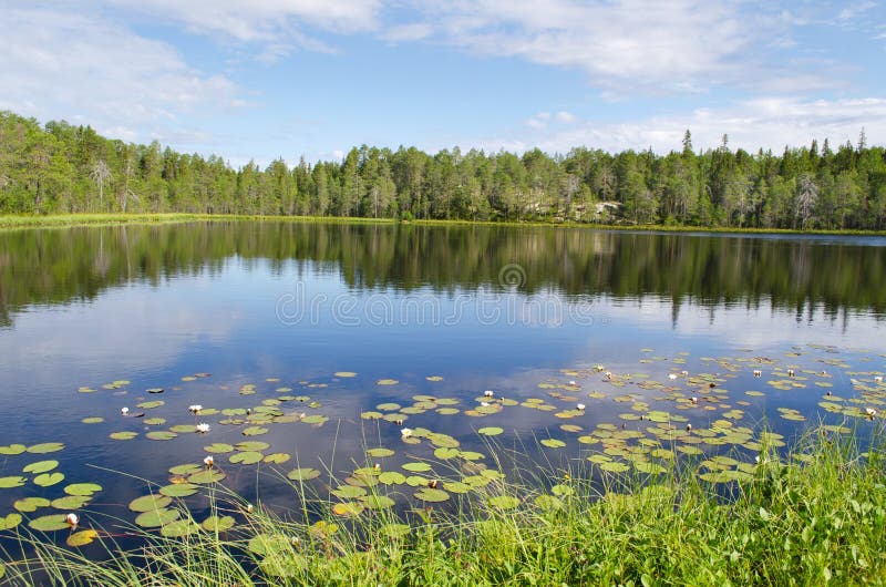 Wood lake royaltyfri foto Wood lake royaltyfri foto