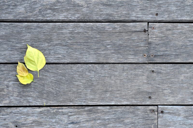 Wood and leaf