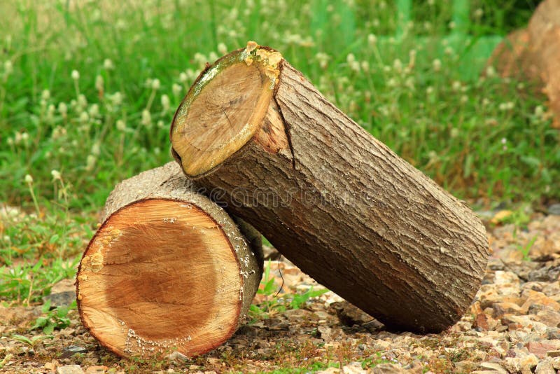 220,648 Wood Log Stock Photos - Free & Royalty-Free Stock Photos from