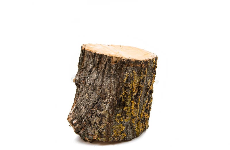 Wood log isolated royalty free stock photos Wood log isolated royalty free stock photos