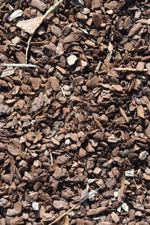 Wood Mulch stock photo. Image of tree, chips, garden 271523932