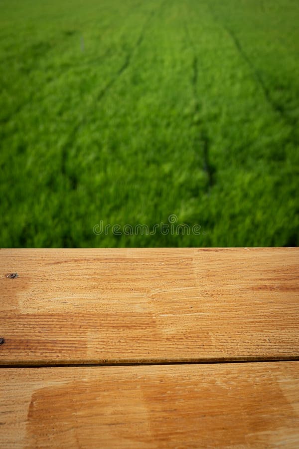Wood with Green Field in Background with Copy Space Stock Photo Image