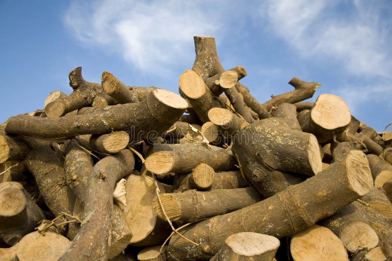 fausts alptraum wooden pieces fausts alptraum wooden pieces