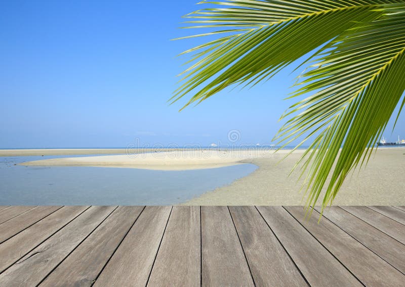 Wood plank over beach with coconut palm tree