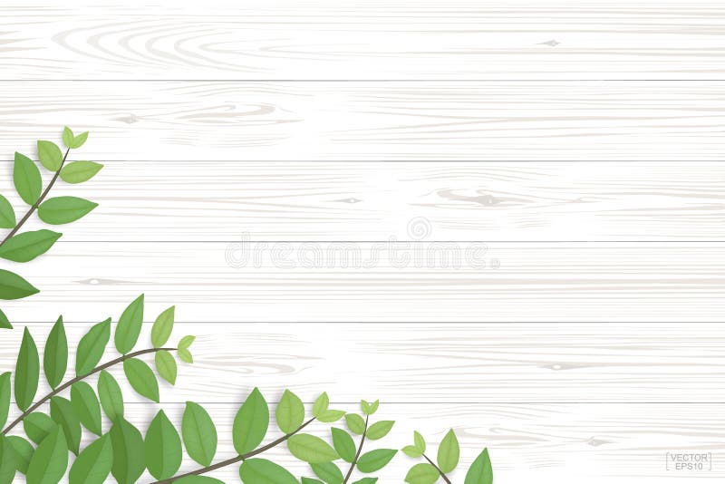 Wood plank pattern and texture with green leaves for natural background.