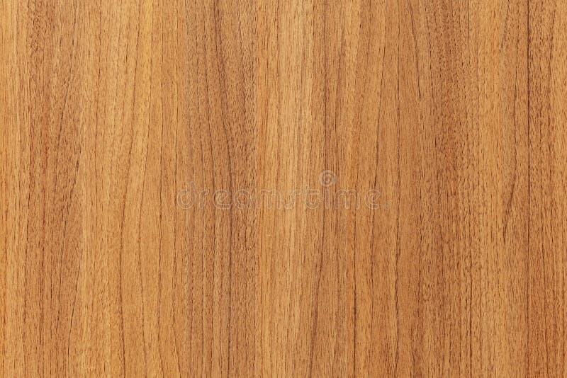 Wood Plank White Timber Texture Stock Photo - Image of light, boards ...