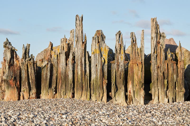 Wood Poles in the Sand on the Beach Stock Image Image of scenic, rock