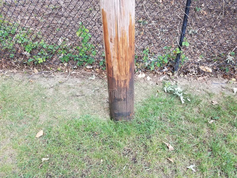 Wood Post In Green Grass With Tar On It Stock Photo Image of metal