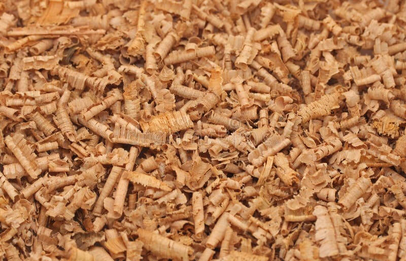 Wood shavings