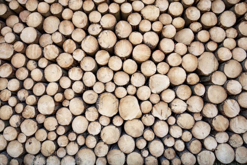 Wood stacked texture stock image. Image of detail, pile 213699273