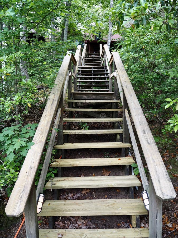 Steep Steps Leading To Lake Dock Stock Image - Image of steps, pond:  220289845