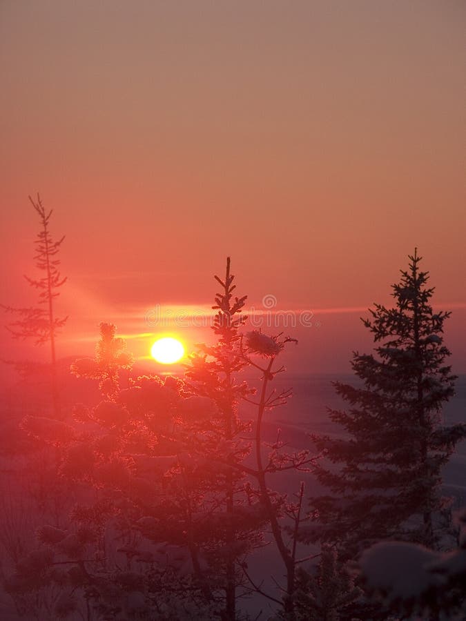 Wood on a sunset