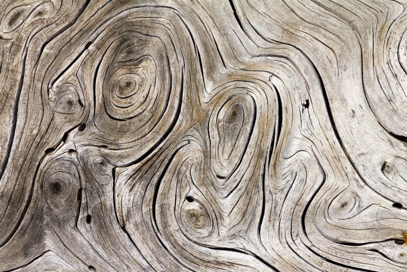Wood Swirls Organic Background Texture Stock Image Image of bark