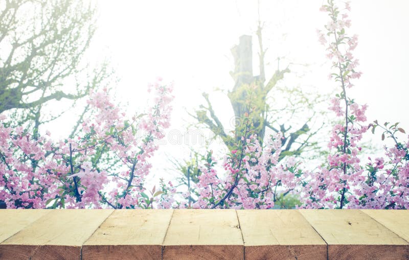 Wood table top on blur sakura flower in garden background.nature. And season.For create product display or design key visual layout stock photos Wood table top on blur sakura flower in garden background.nature. And season.For create product display or design key visual layout stock photos