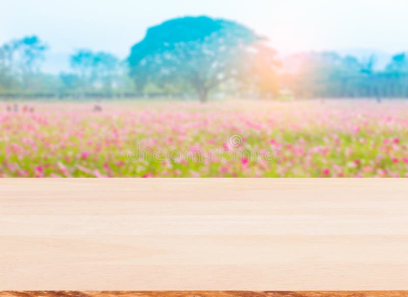 Wood table top on blured flower garden background royalty free stock photo
