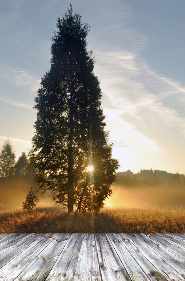Wood terrace stock photo. Image of panel, exterior, grain 49520484