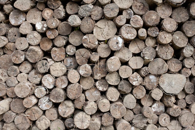 Wood texture stock photo