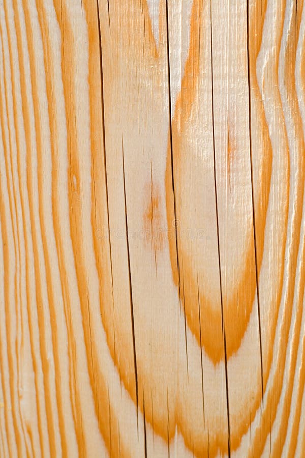 The Hatching stock image. Image of smooth, start, break 363137